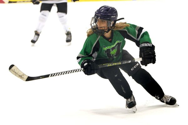 Zero Plus small-medium adult by Boulder Hockey Shield Co. Hot on Sale - Image 5
