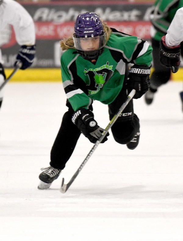 Zero Plus small-medium adult by Boulder Hockey Shield Co. Hot on Sale - Image 4